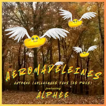 Automne (Colchiques dans les prés) by Aéromadeleines - album cover