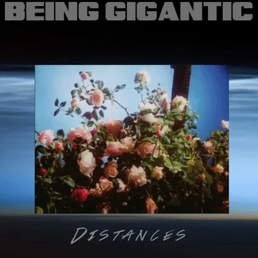Distances