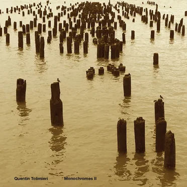 Monochromes II by Quentin Tolimieri - album cover