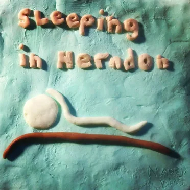 Sleeping in Herndon by Naked Days - album cover