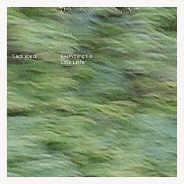 Everything's a Love Letter by Saddleback - album cover