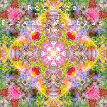 Flower Waltzes (Side 2) by Rebecca Tripp - album cover