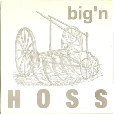 Hoss by Big’n - album cover