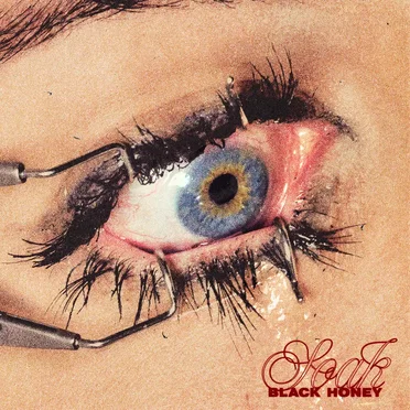 Soak by Black Honey - album cover