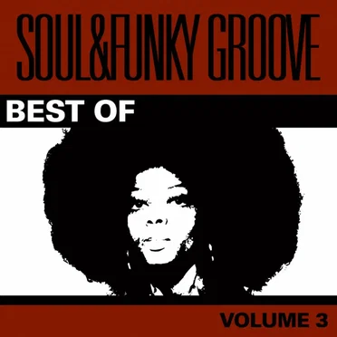 Best Of Soul & Funky Groove Vol. 3 by Various Artists - album cover