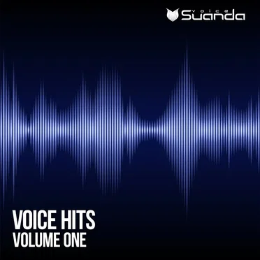 Voice Hits, Vol. 1 by Various Artists - album cover