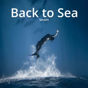 Back to Sea
