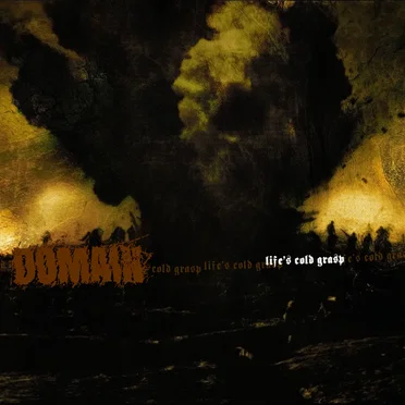 Life's Cold Grasp by Domain - album cover