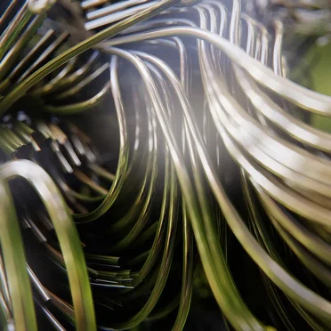 Sonic Healing Remixed