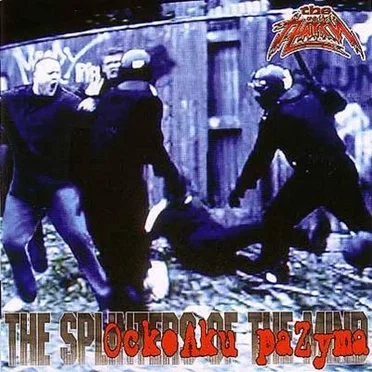 Осколки раzума by The Пауки - album cover