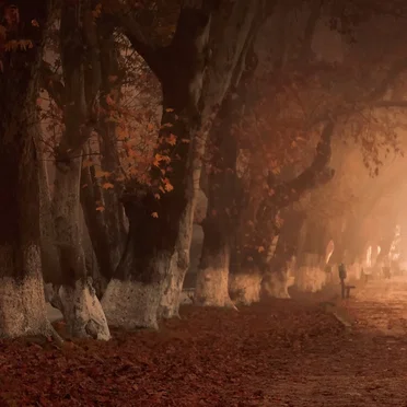 With Autumn II