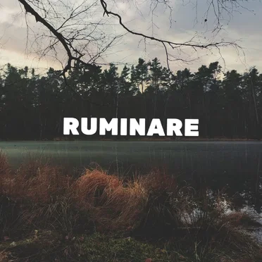 Ruminare