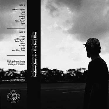 The Lost Files by Brainorchestra - album cover