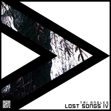 Lost Songs vol. 4 by Tri Angles - album cover
