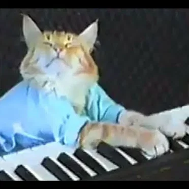 Cool Cat