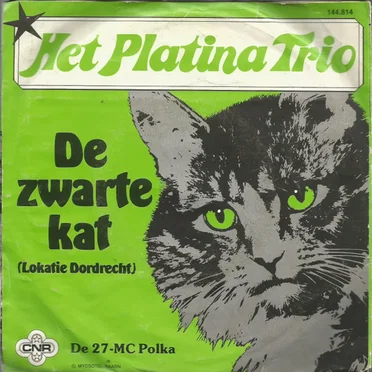 De zwarte kat