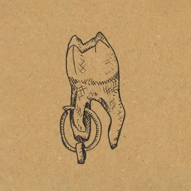 Herbarium by Paul Plut - album cover