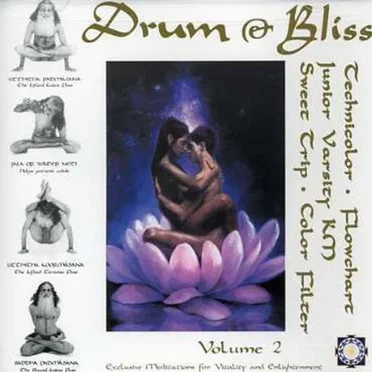 Drum & Bliss, Volume 2 by Various Artists - album cover