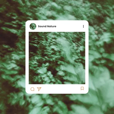 Sound Nature