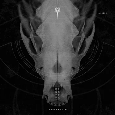 Puppetskin by Rendered - album cover
