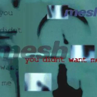You Didn't Want Me