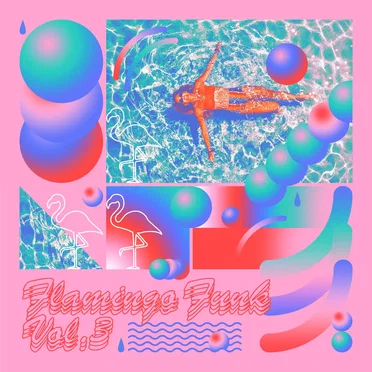 Flamingo Funk vol.3 by Various Artists - album cover