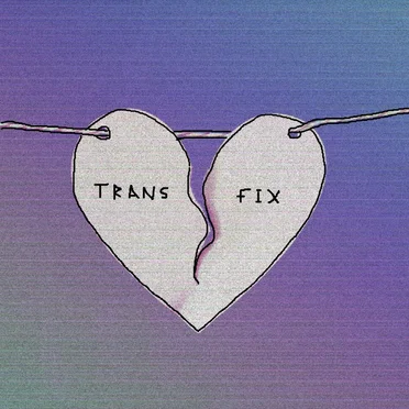 transfix