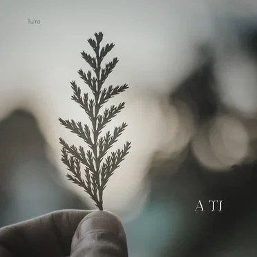 A Ti by Tu Yo - album cover