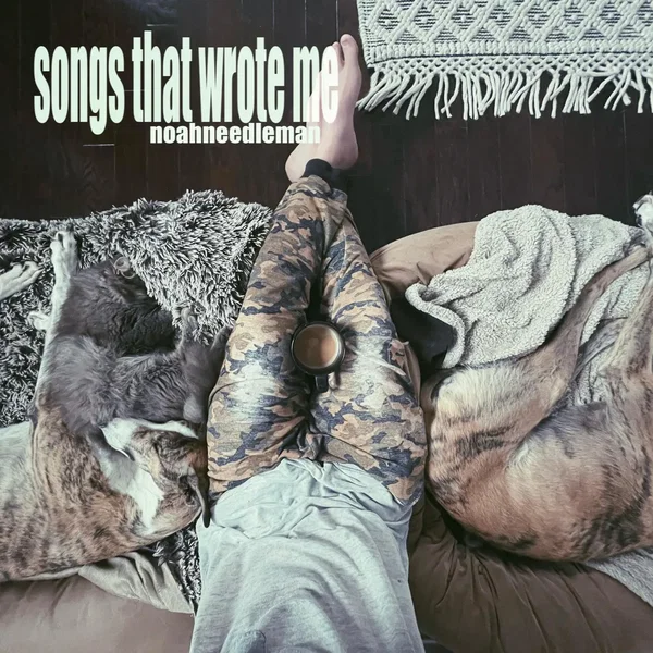 Songs That Wrote Me