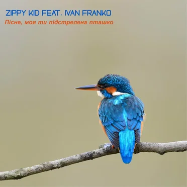 Пісне, Моя Ти Підстрелена Пташко