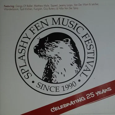 Splashy Fen Music Festival: Celebrating 25 Years by Various Artists - album cover