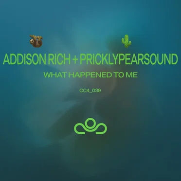 What Happened to Me by Addison Rich - album cover