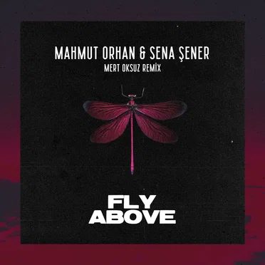 Fly Above (Mert Oksuz remix)