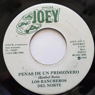 Penas de un prisionero / Falso nombre