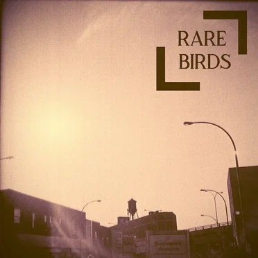 Rare Birds - Outtakes, Live Recordings, Improvisations, and a New One...