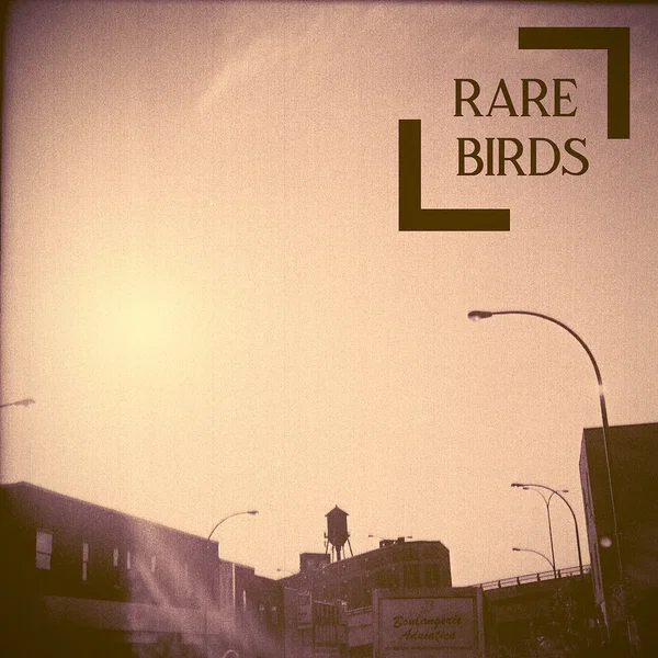 Rare Birds - Outtakes, Live Recordings, Improvisations, and a New One...