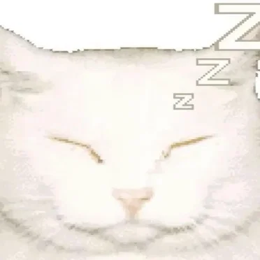 r0t