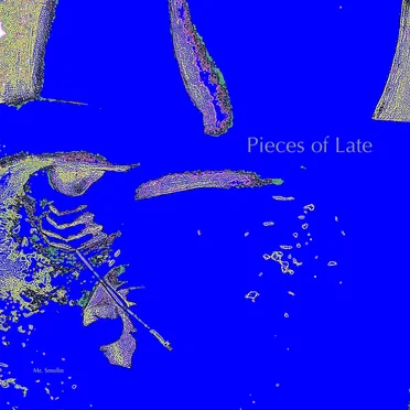 Pieces of Late