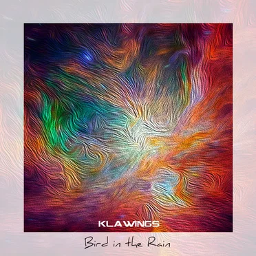 Bird in The Rain by klawings - album cover