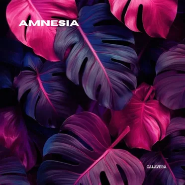 Amnesia