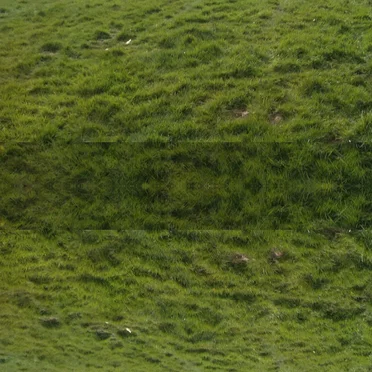 music for crowd noise