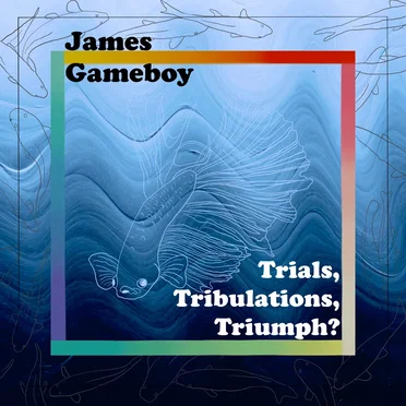 Trials, Tribulations, Triumph?