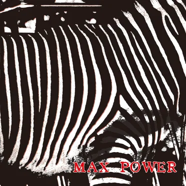 MAX POWER by Various Artists - album cover