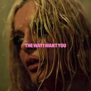 The Way I Want You by Bebe Rexha - album cover