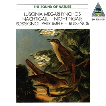 Nachtigall by Walter Tilgner - album cover