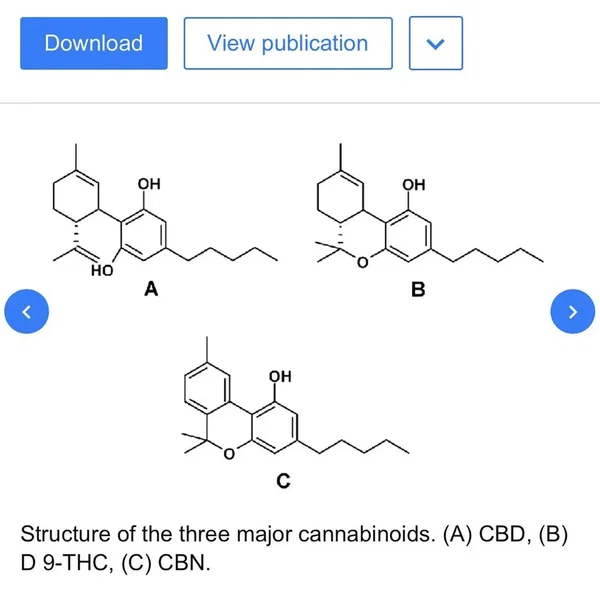 CBD (remix)