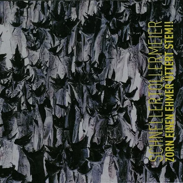 Zorn einen ehmer üttert stem!! by schnellertollermeier - album cover