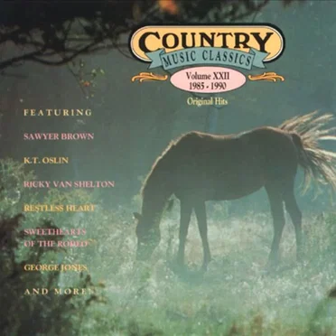 Country Music Classics, Vol. 22 1985-1990 by Various Artists - album cover