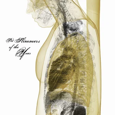 ...And the Sky Fell by Pet Slimmers of the Year - album cover