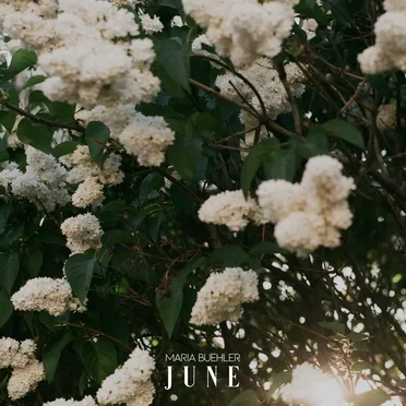 June by Maria Buehler - album cover